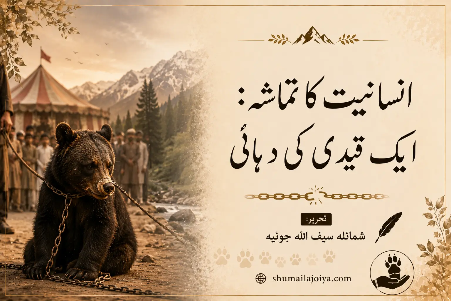 انسانیت کا تماشہ : ایک قیدی کی دہائی