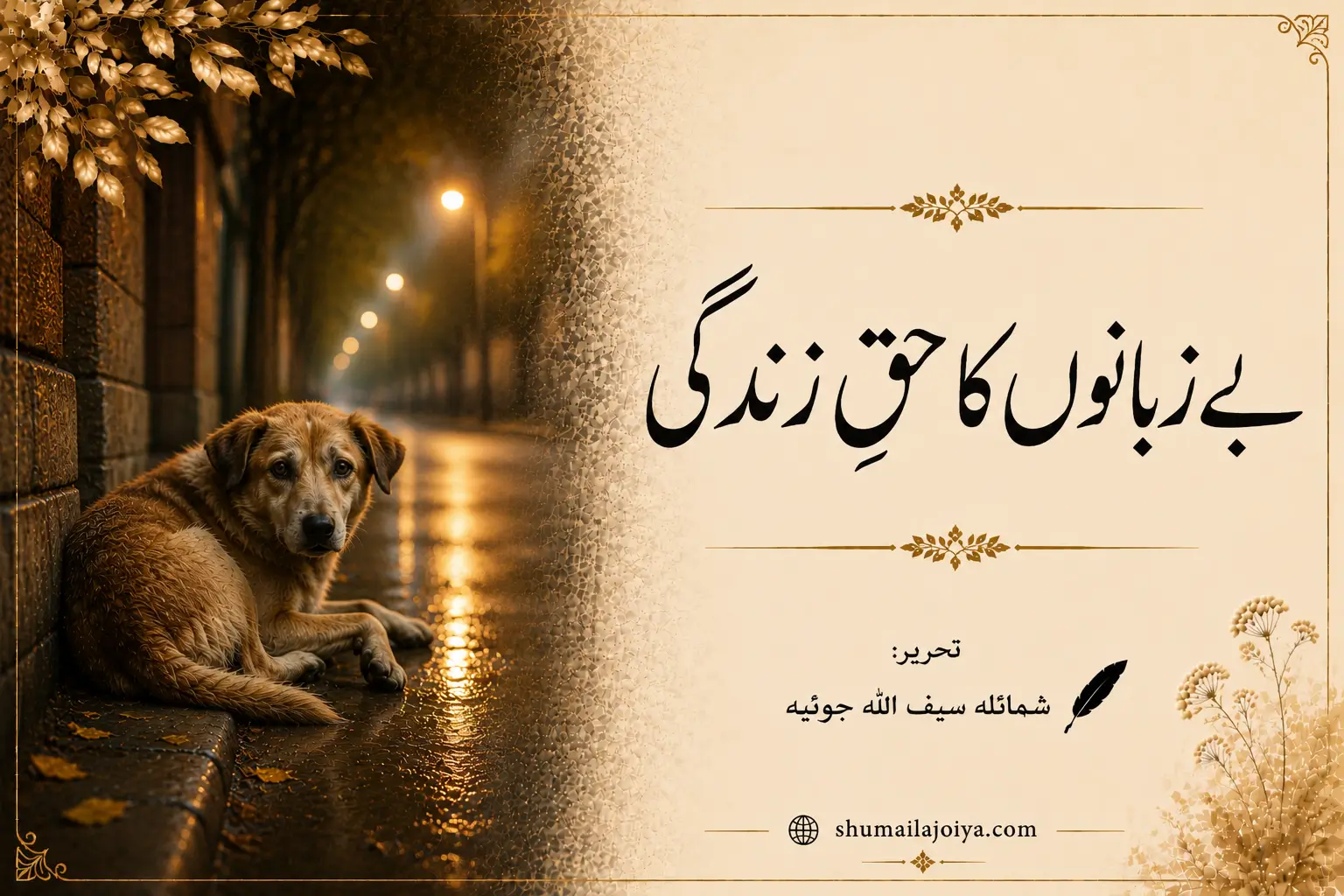 بے زبانوں کا حقِ زندگی