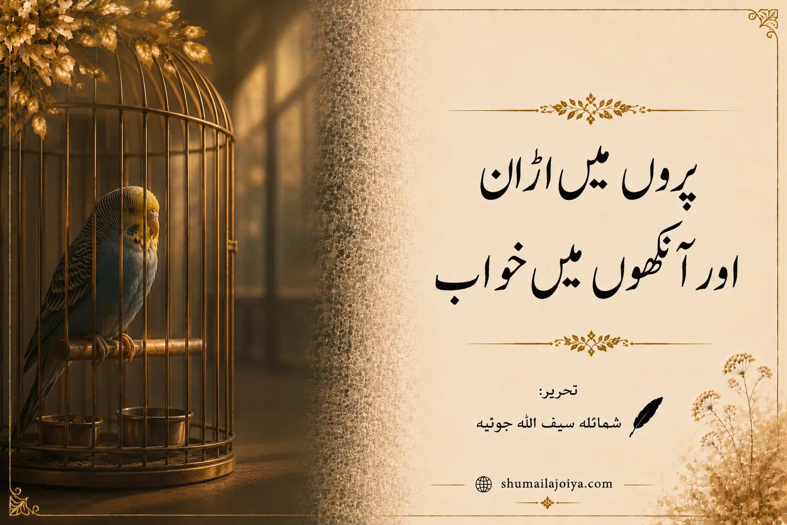 پروں میں اڑان اور آنکھوں میں خواب